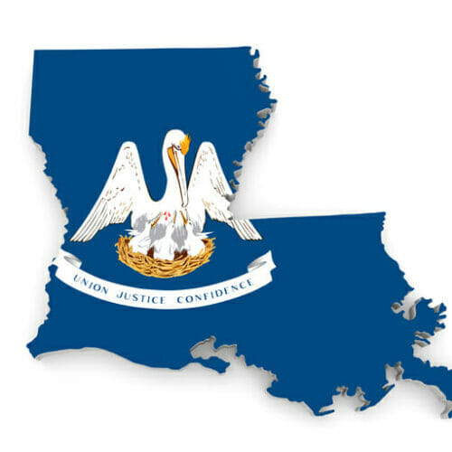 Louisiana with state bird