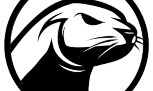 Seal Capital logo Building an international team in blockchain