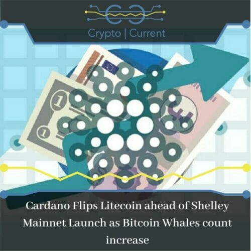 Cardano Flips Litecoin ahead of Shelley Mainnet Launch as Bitcoin Whales count increase