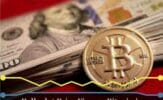Polkadot Price Firm as Bitcoin is Hammered, Ethereum DeFi and Gas Problem