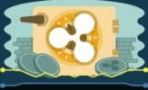 Ripple Drops Below Key Support as Bitcoin Recoils from $14,000