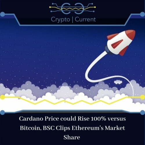 Cardano Price could Rise 100% versus Bitcoin, BSC Clips Ethereum's Market Share