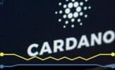 What is the Cardano Mary Protocol