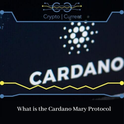 What is the Cardano Mary Protocol