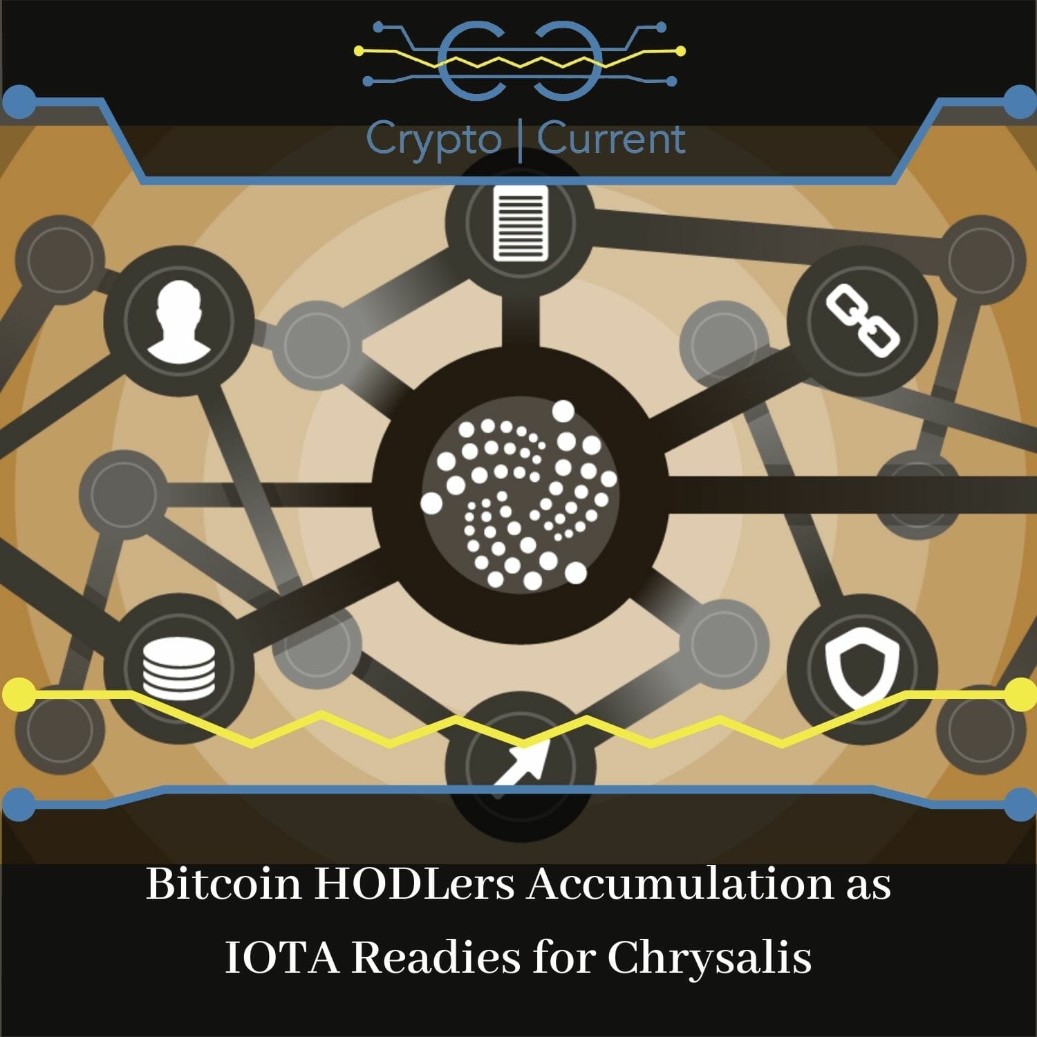 Bitcoin HODLers Accumulation as IOTA Readies for Chrysalis