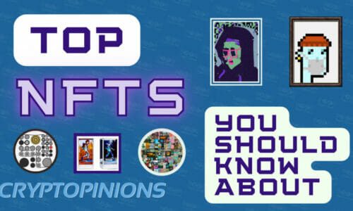 Top NFTs you should know about - Cryptopinions
