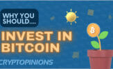 Why You Should Invest in Bitcoin - Cryptopinions